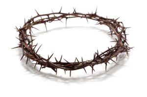 crown-of-thorns